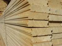 ����� ���� (�����)